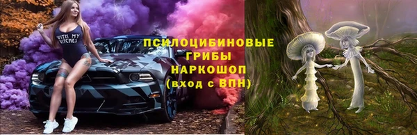 СК Волосово