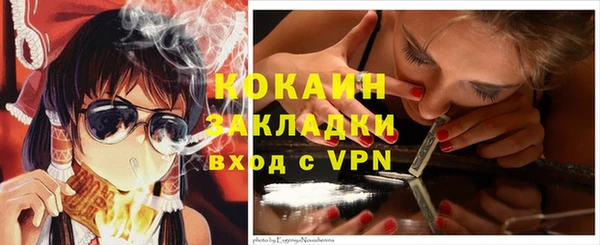 индика Снежинск
