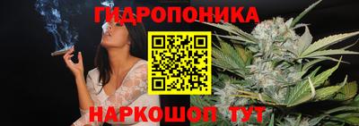 амф Гусь-Хрустальный