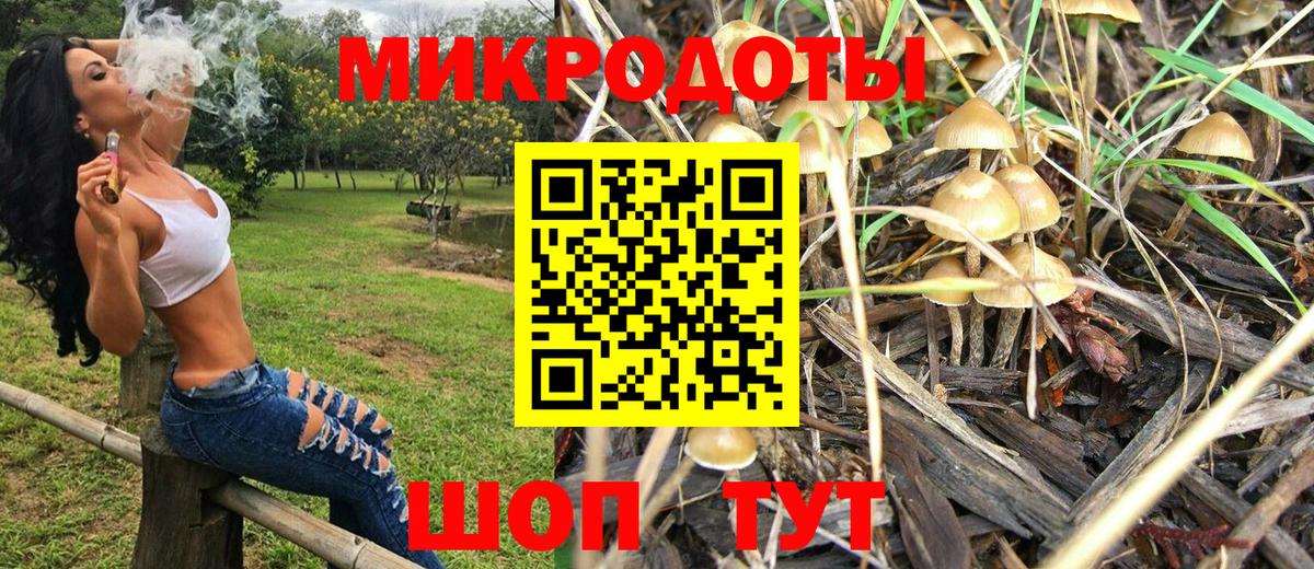Галлюциногенные грибы Psilocybe  Вход с VPN  Минеральные Воды 