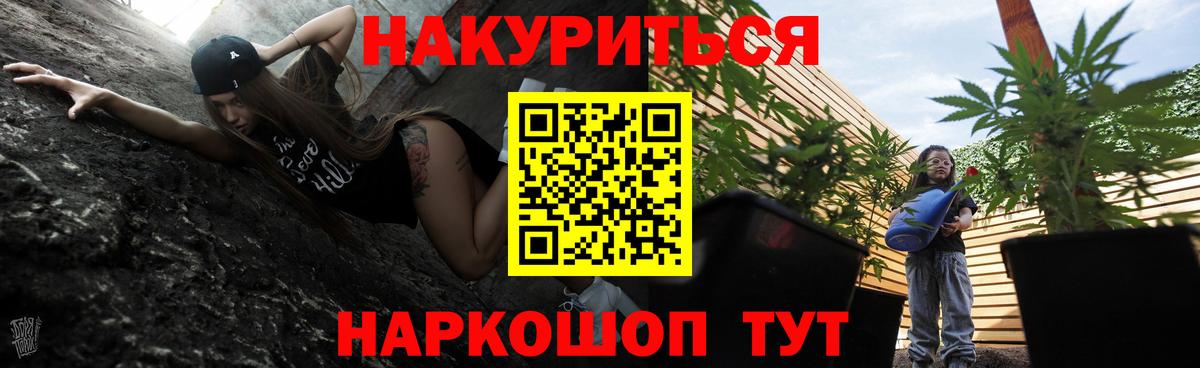 Бошки Шишки VHQ  Минеральные Воды  Каннабис сатива 